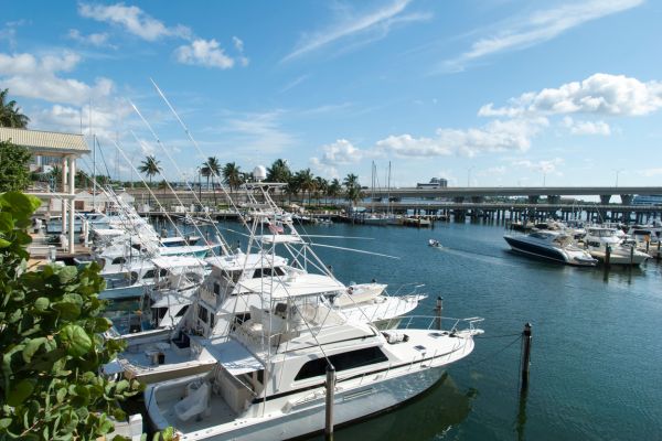 Miami Marina Boats