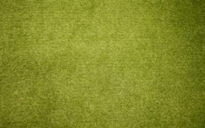 The Ultimate Guide to Choosing the Perfect Grass Carpet for Your Space