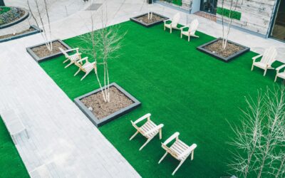 Creative Uses for Grass Carpets: Transform Your Spaces